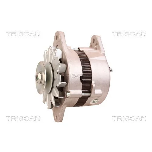 Alternátor 8310 10035 /TRISCAN/ - obr. 1