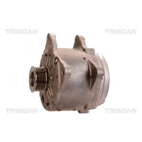 Alternátor 8310 10040 /TRISCAN/ - obr. 6