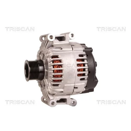 Alternátor 8310 10112 /TRISCAN/ - obr. 6