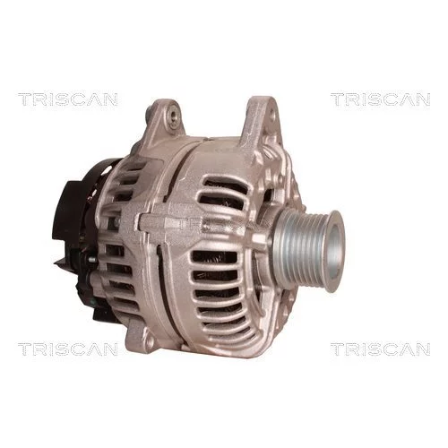 Alternátor 8310 10123 /TRISCAN/ - obr. 3