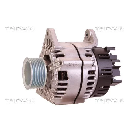 Alternátor 8310 10145 /TRISCAN/ - obr. 6