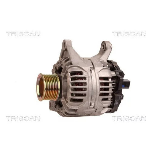Alternátor 8310 10152 /TRISCAN/ - obr. 6