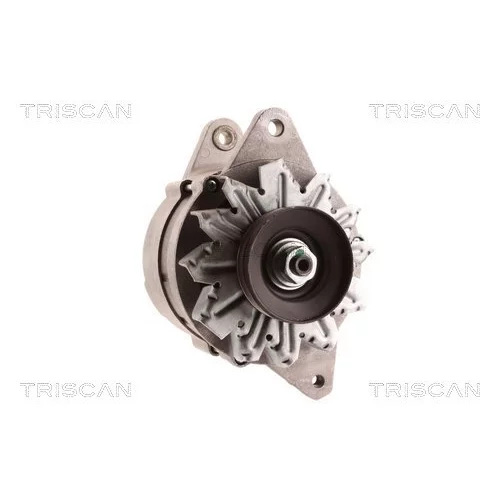 Alternátor 8310 10177 /TRISCAN/ - obr. 7