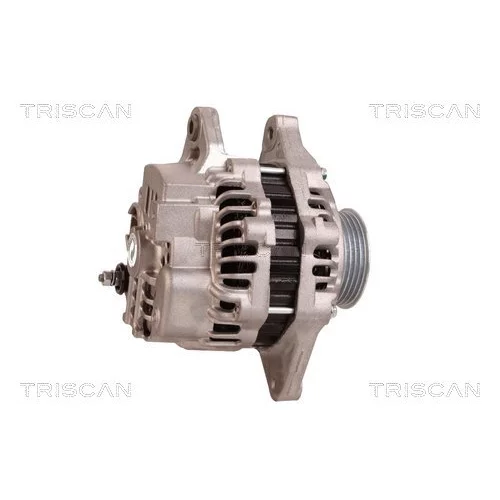 Alternátor 8310 13037 /TRISCAN/ - obr. 2