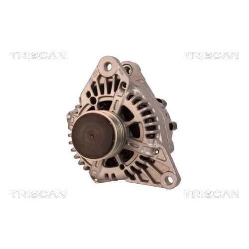 Alternátor 8310 13049 /TRISCAN/ - obr. 5