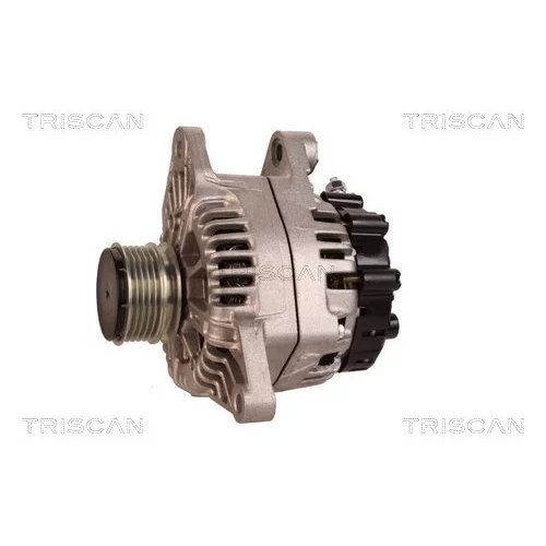 Alternátor 8310 13049 /TRISCAN/ - obr. 6