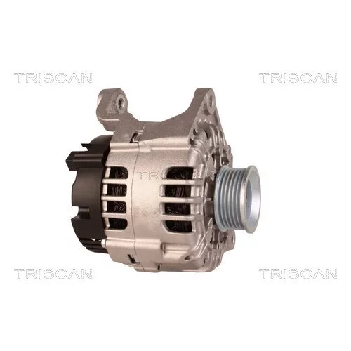 Alternátor 8310 13054 /TRISCAN/ - obr. 3