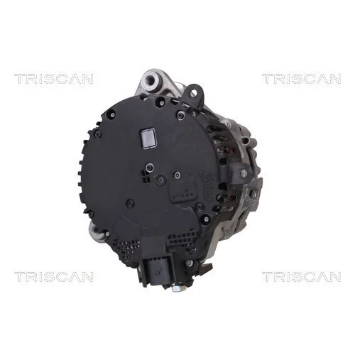 Alternátor 8310 13063 /TRISCAN/ - obr. 4