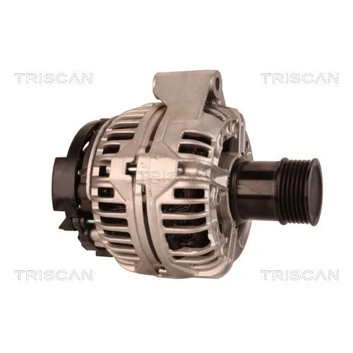 Alternátor 8310 14013 /TRISCAN/ - obr. 3