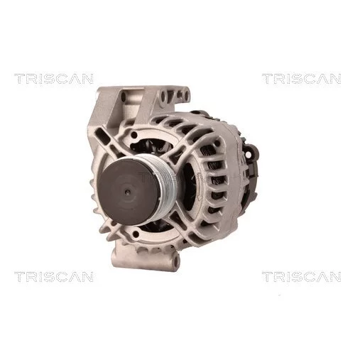 Alternátor 8310 15007 /TRISCAN/ - obr. 5
