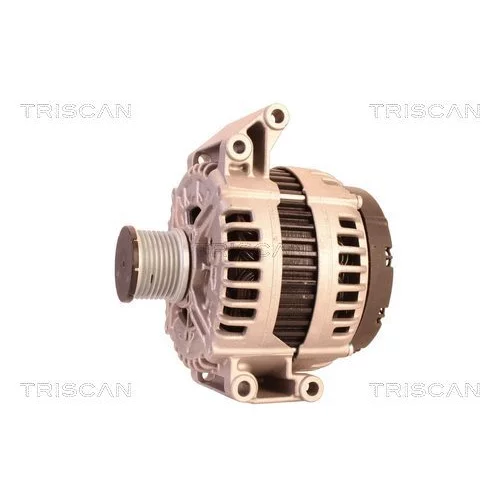 Alternátor 8310 15020 /TRISCAN/ - obr. 6
