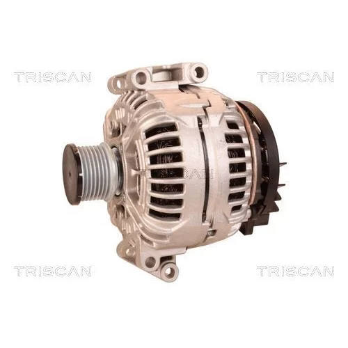Alternátor 8310 16011 /TRISCAN/ - obr. 6