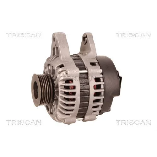 Alternátor 8310 16015 /TRISCAN/ - obr. 6