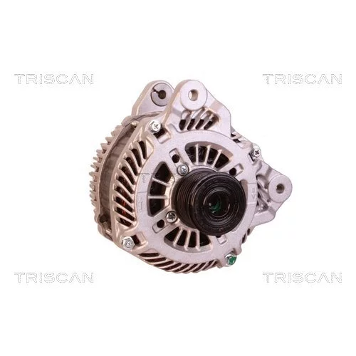 Alternátor 8310 16022 /TRISCAN/ - obr. 4