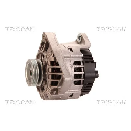 Alternátor 8310 16033 /TRISCAN/ - obr. 6