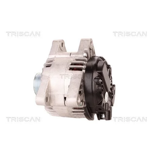 Alternátor 8310 23021 /TRISCAN/ - obr. 7