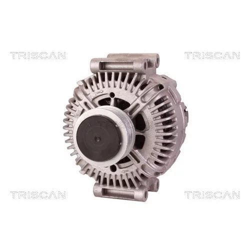 Alternátor 8310 24012 /TRISCAN/ - obr. 5
