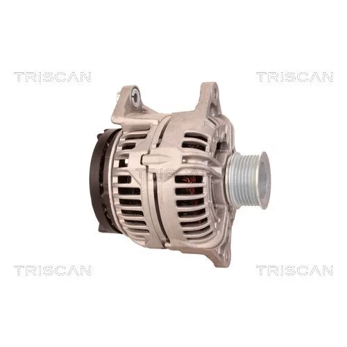 Alternátor 8310 24022 /TRISCAN/ - obr. 3
