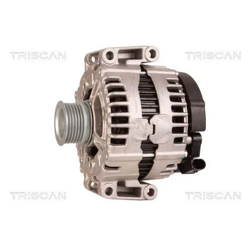 Alternátor 8310 24022 /TRISCAN/ - obr. 6