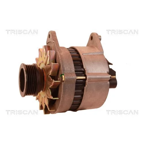 Alternátor 8310 29022 /TRISCAN/ - obr. 6