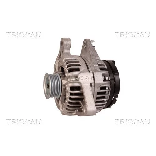 Alternátor 8310 29051 /TRISCAN/ - obr. 6