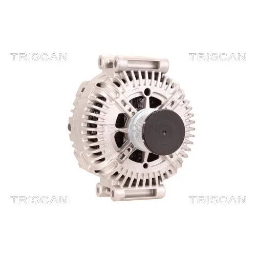 Alternátor 8310 29069 /TRISCAN/ - obr. 4