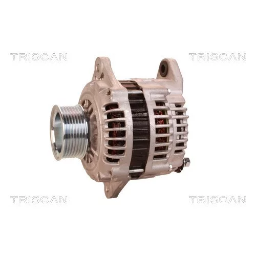 Alternátor 8310 29073 /TRISCAN/ - obr. 6