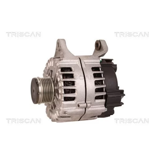 Alternátor 8310 29103 /TRISCAN/ - obr. 6