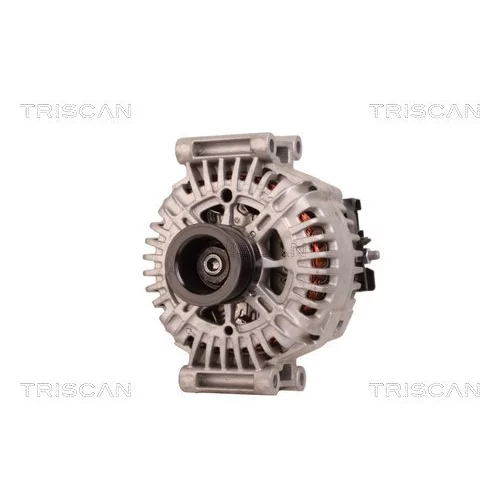 Alternátor 8310 43009 /TRISCAN/ - obr. 5