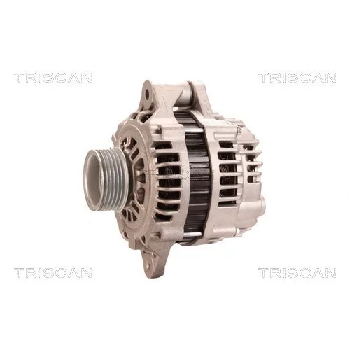 Alternátor 8310 43019 /TRISCAN/ - obr. 6