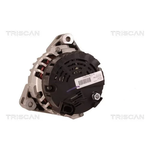 Alternátor TRISCAN 8310 50002