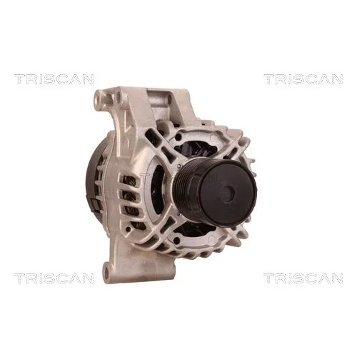 Alternátor 8310 69009 /TRISCAN/ - obr. 4