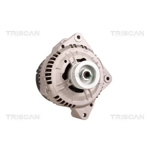 Alternátor 8310 69013 /TRISCAN/ - obr. 4