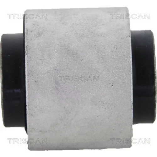 Uloženie riadenia 8500 23861 /TRISCAN/