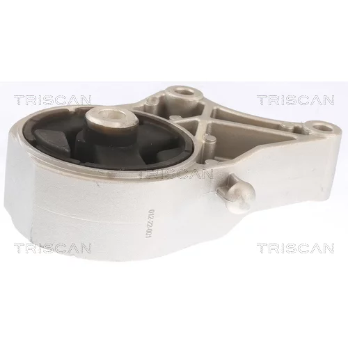 Uloženie motora 8505 10110 /TRISCAN/ - obr. 1