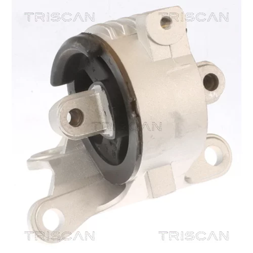 Uloženie motora TRISCAN 8505 10129