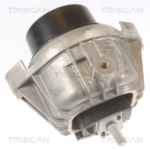 Uloženie motora 8505 11111 /TRISCAN/ - obr. 1