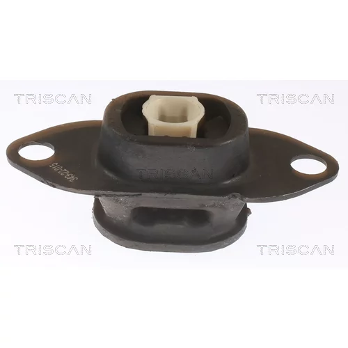 Uloženie motora TRISCAN 8505 25116