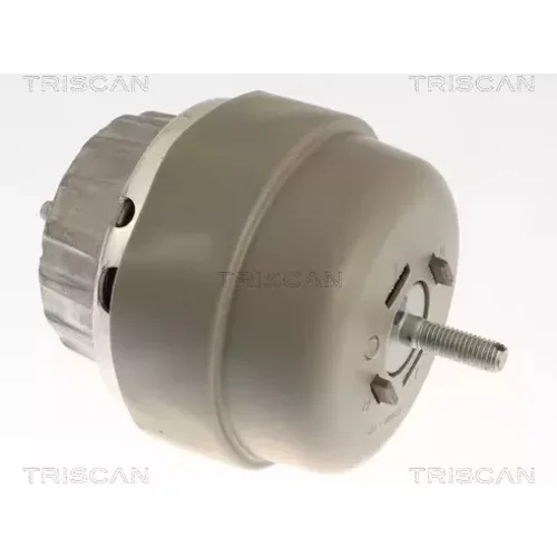 Uloženie motora TRISCAN 8505 291001