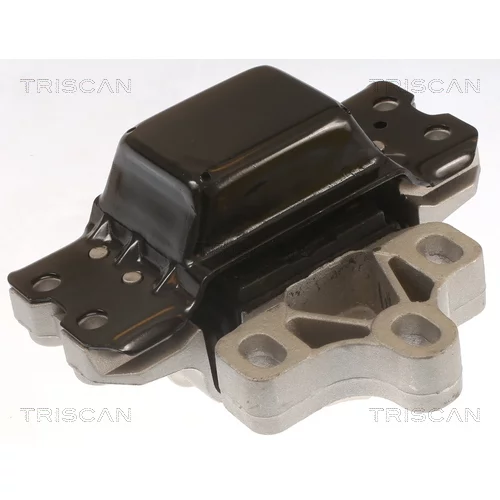 Uloženie motora TRISCAN 8505 29116