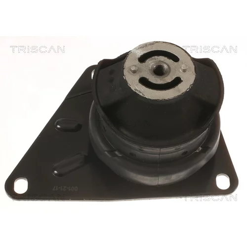 Uloženie motora 8505 29151 /TRISCAN/