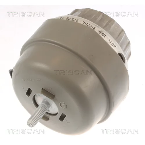 Uloženie motora 8505 29174 /TRISCAN/ - obr. 2