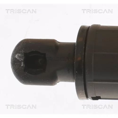 Pneumatická pružina, Batožinový/nákladný priestor 8710 11359 /TRISCAN/ - obr. 1