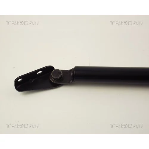 Pneumatická pružina, Batožinový/nákladný priestor 8710 13244 /TRISCAN/ - obr. 1
