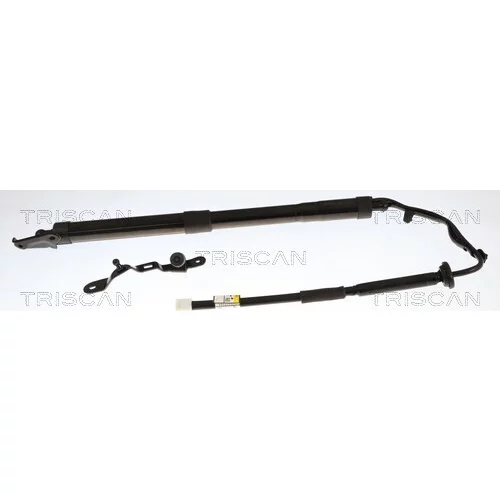 Pneumatická pružina, Batožinový/nákladný priestor TRISCAN 8710 13305