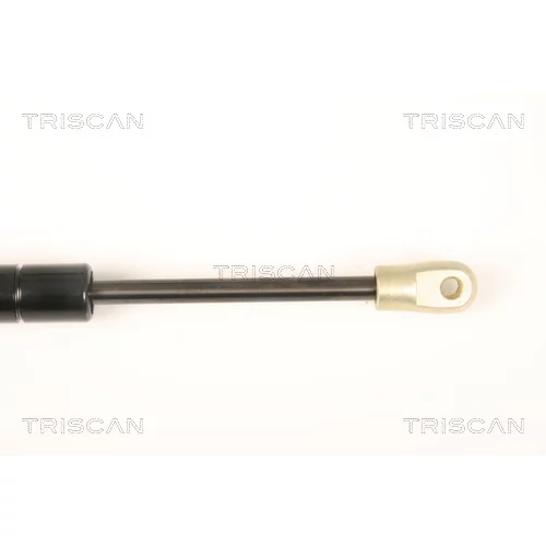 Pneumatická pružina, Batožinový/nákladný priestor 8710 20202 /TRISCAN/ - obr. 2