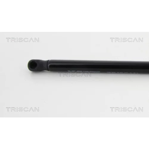 Pneumatická pružina, Batožinový/nákladný priestor 8710 38234 /TRISCAN/ - obr. 1