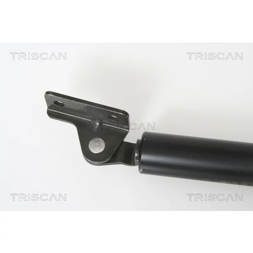 Pneumatická pružina, Batožinový/nákladný priestor 8710 43213 /TRISCAN/ - obr. 1