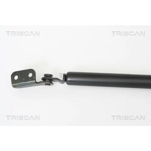 Pneumatická pružina, Batožinový/nákladný priestor 8710 43221 /TRISCAN/ - obr. 1