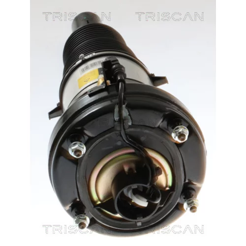 Vzduchový vak 8720 29105 /TRISCAN/ - obr. 1